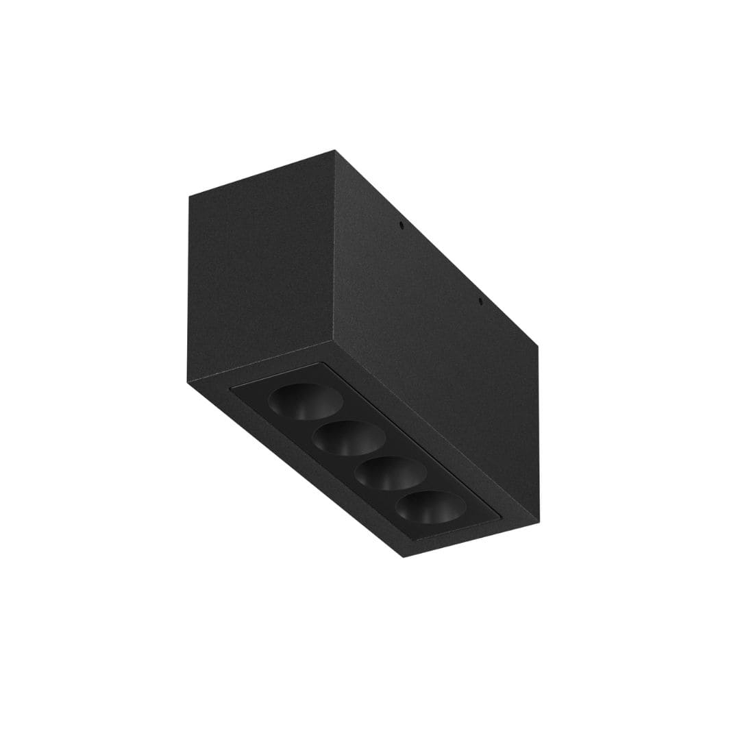 Mile Udendørs Loftslampe 1 i Sort - Flos Design