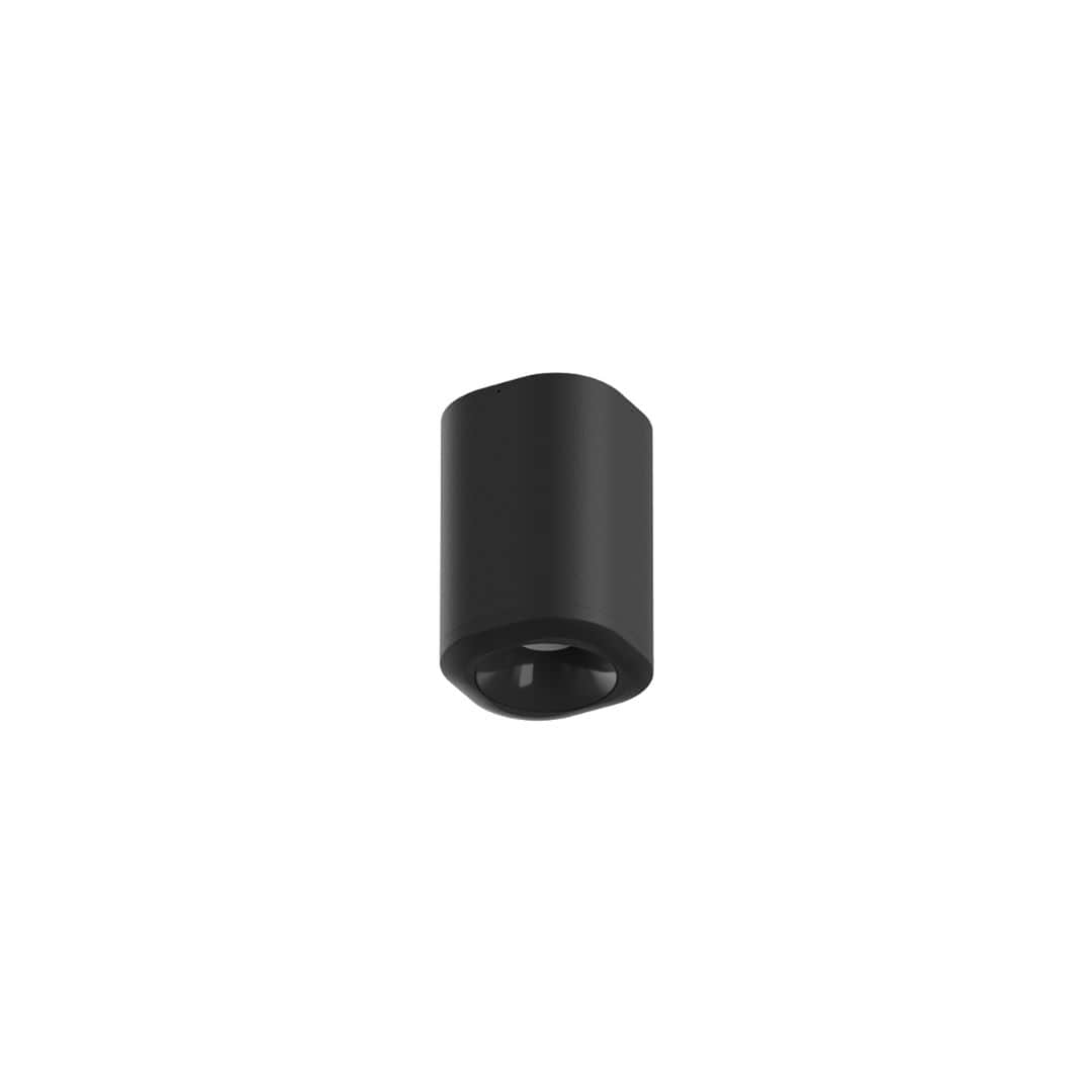 Pointbreak Udendørs Loftslampe 1 Optic Flood - Flos
